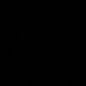 Meet your Posher, Bobby